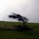 Hier wehen offenbar sehr heftige Winde