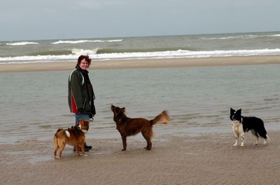 Nicole und die Hunde am Strand